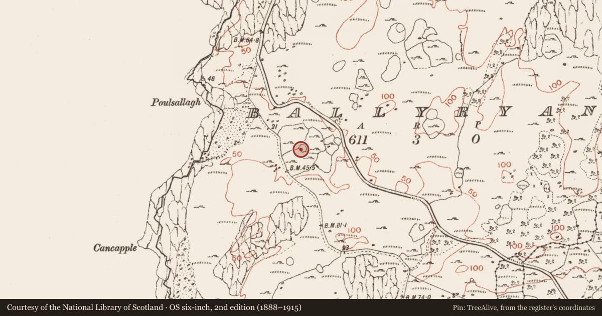 Ordnance Survey six-inch map, 2nd edition (1888–1915) covering the location of Ringfort - cashel, Ballyryan, County Clare, with a pin at the register's coordinates