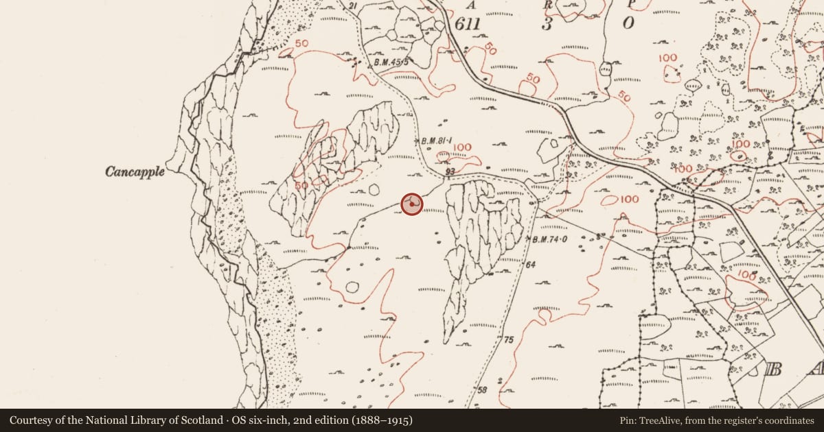 Ordnance Survey six-inch map, 2nd edition (1888–1915) covering the location of Enclosure, Ballyryan, County Clare, with a pin at the register's coordinates