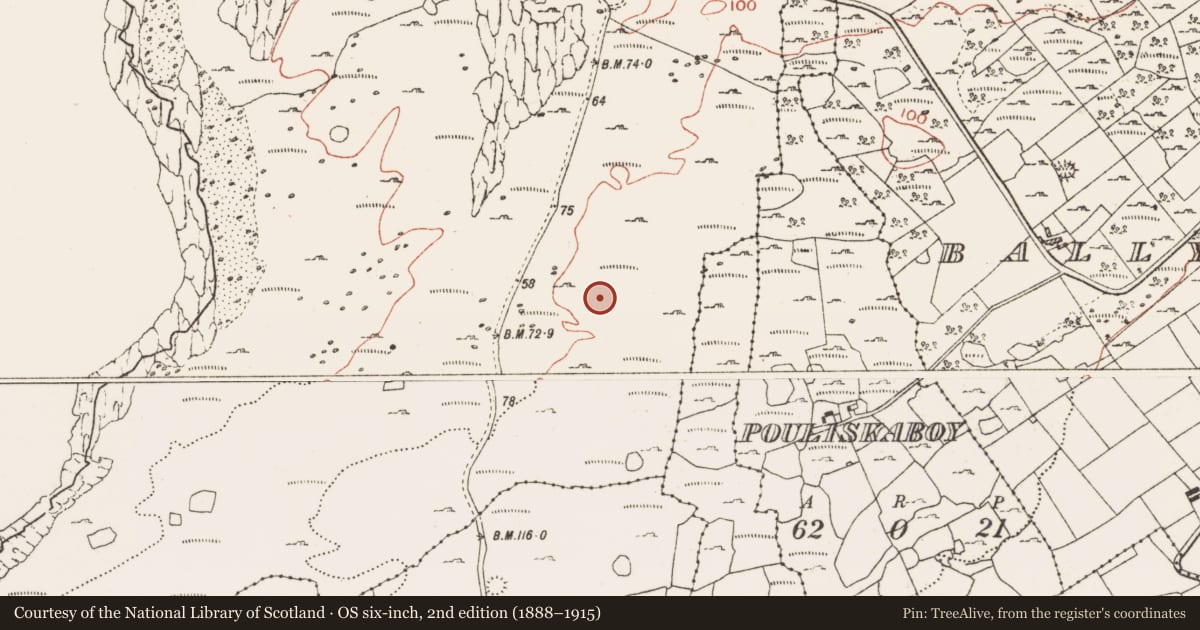 Ordnance Survey six-inch map, 2nd edition (1888–1915) covering the location of Enclosure, Ballyryan, County Clare, with a pin at the register's coordinates