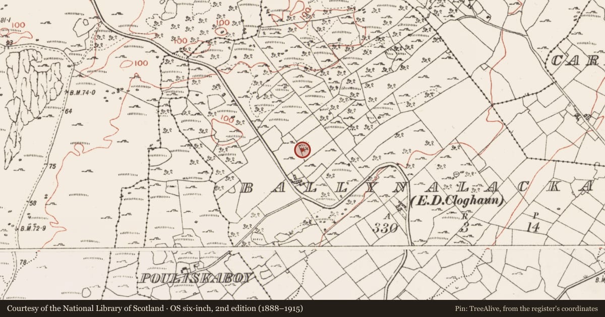 Ordnance Survey six-inch map, 2nd edition (1888–1915) covering the location of Enclosure, Ballynalackan, County Clare, with a pin at the register's coordinates