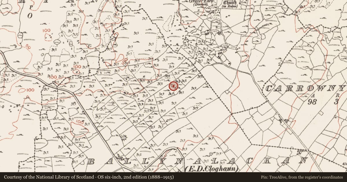 Ordnance Survey six-inch map, 2nd edition (1888–1915) covering the location of Enclosure, Ballynalackan, County Clare, with a pin at the register's coordinates