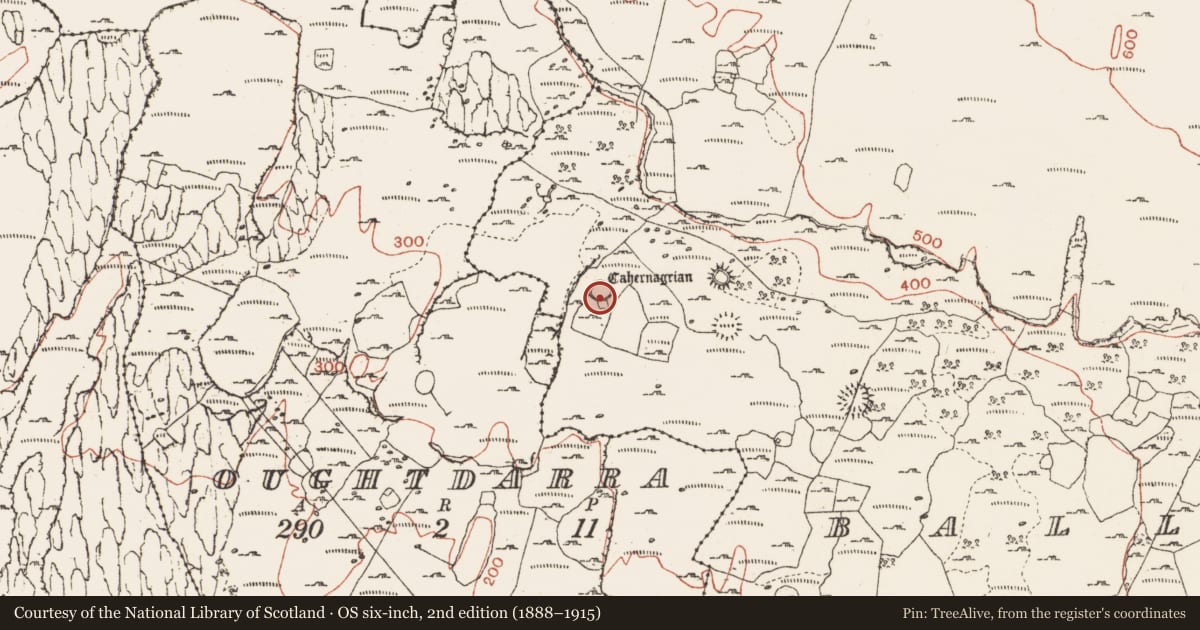 Ordnance Survey six-inch map, 2nd edition (1888–1915) covering the location of Ringfort - cashel, Ballynahown, County Clare, with a pin at the register's coordinates