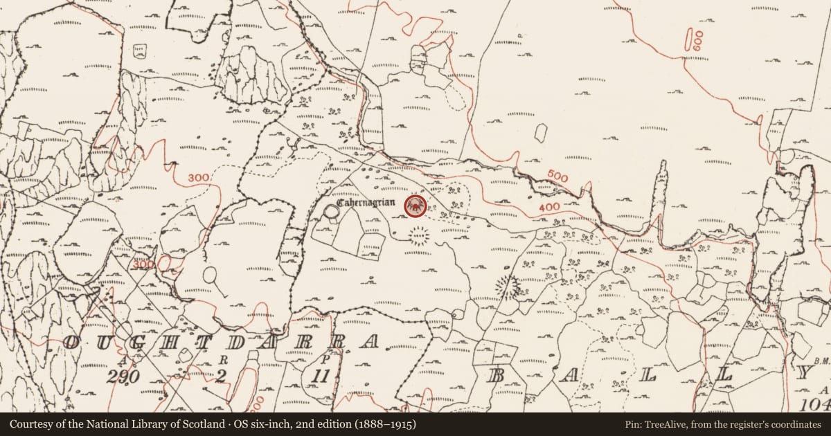 Ordnance Survey six-inch map, 2nd edition (1888–1915) covering the location of Ringfort - cashel, Ballynahown, County Clare, with a pin at the register's coordinates