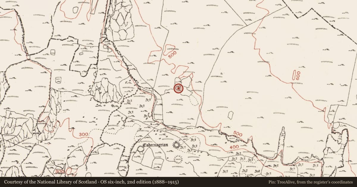Ordnance Survey six-inch map, 2nd edition (1888–1915) covering the location of Ringfort - cashel, Ballynahown, County Clare, with a pin at the register's coordinates