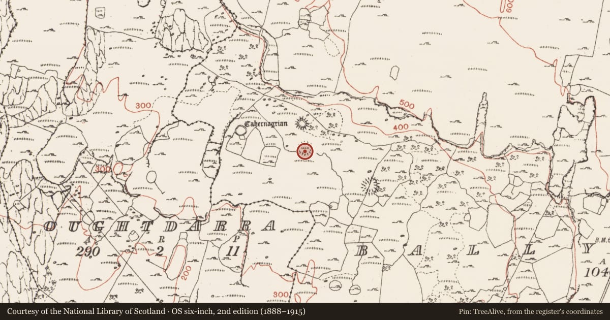 Ordnance Survey six-inch map, 2nd edition (1888–1915) covering the location of Ringfort - cashel, Ballynahown, County Clare, with a pin at the register's coordinates
