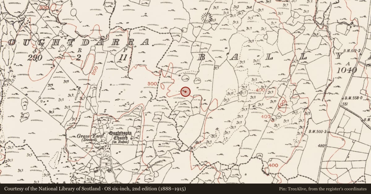 Ordnance Survey six-inch map, 2nd edition (1888–1915) covering the location of Souterrain, Ballynahown, County Clare, with a pin at the register's coordinates