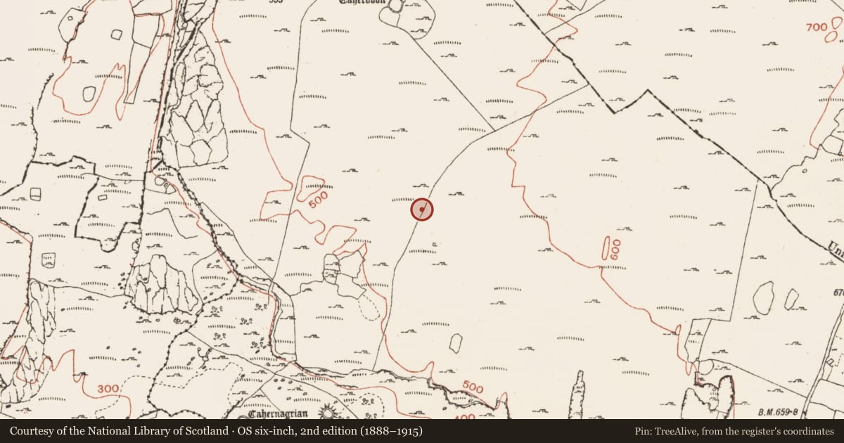 Ordnance Survey six-inch map, 2nd edition (1888–1915) covering the location of Megalithic tomb - wedge tomb, Ballynahown, County Clare, with a pin at the register's coordinates