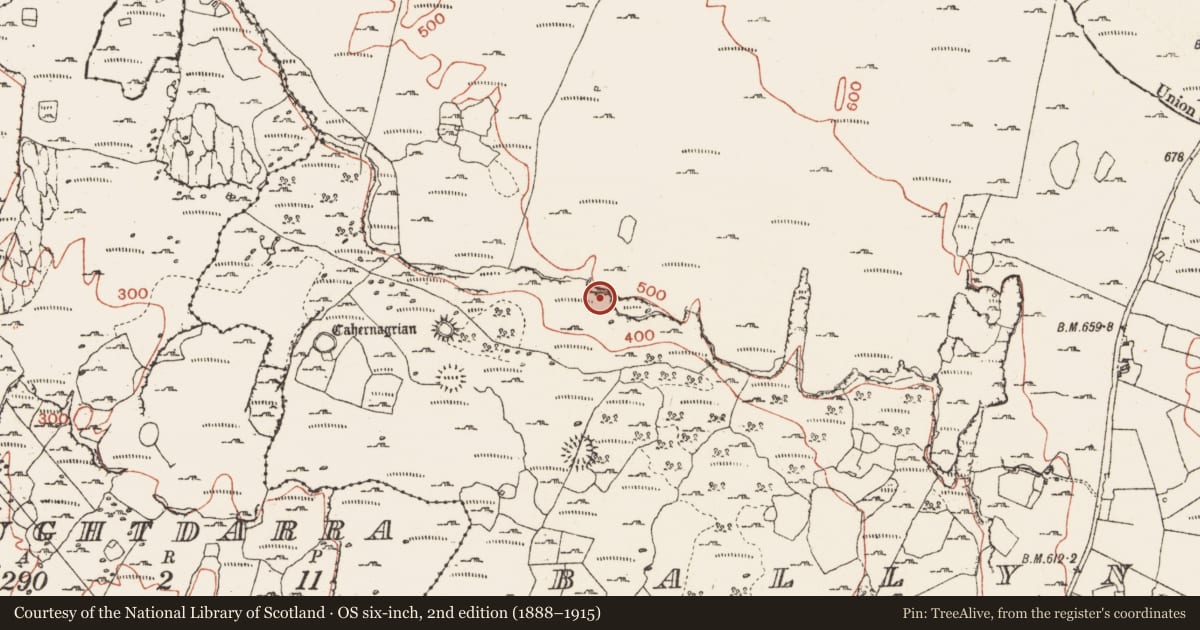 Ordnance Survey six-inch map, 2nd edition (1888–1915) covering the location of Cave, Ballynahown, County Clare, with a pin at the register's coordinates