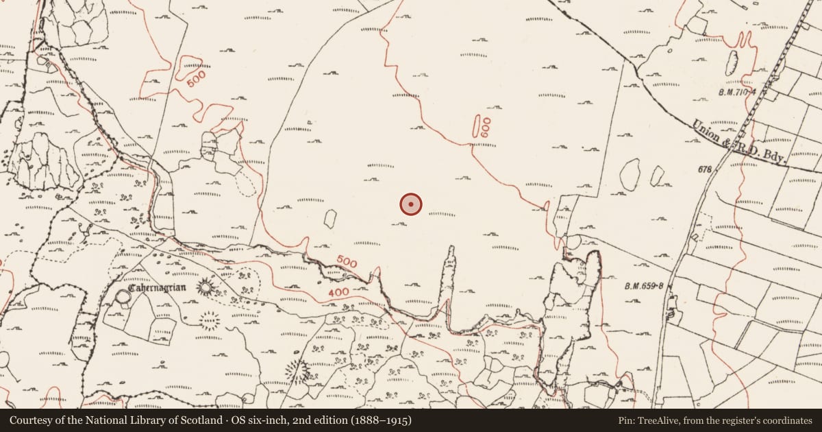 Ordnance Survey six-inch map, 2nd edition (1888–1915) covering the location of Megalithic tomb - wedge tomb, Ballynahown, County Clare, with a pin at the register's coordinates
