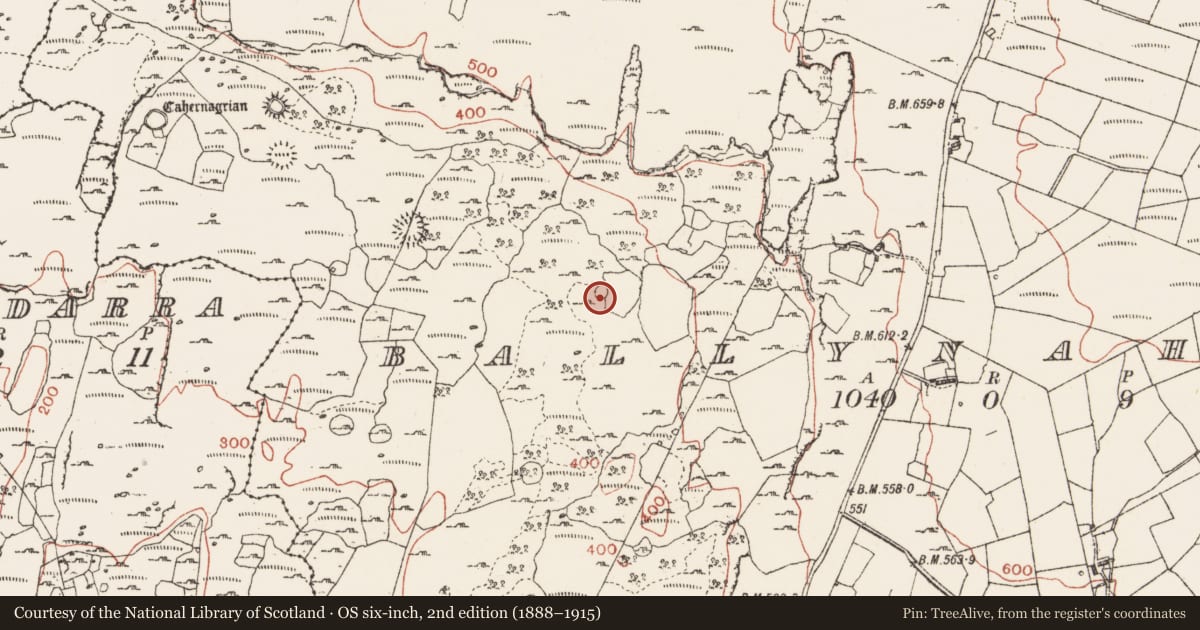 Ordnance Survey six-inch map, 2nd edition (1888–1915) covering the location of Enclosure, Ballynahown, County Clare, with a pin at the register's coordinates