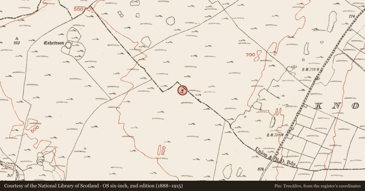Ordnance Survey six-inch map, 2nd edition (1888–1915) covering the location of Megalithic tomb - wedge tomb, Ballynahown, County Clare, with a pin at the register's coordinates
