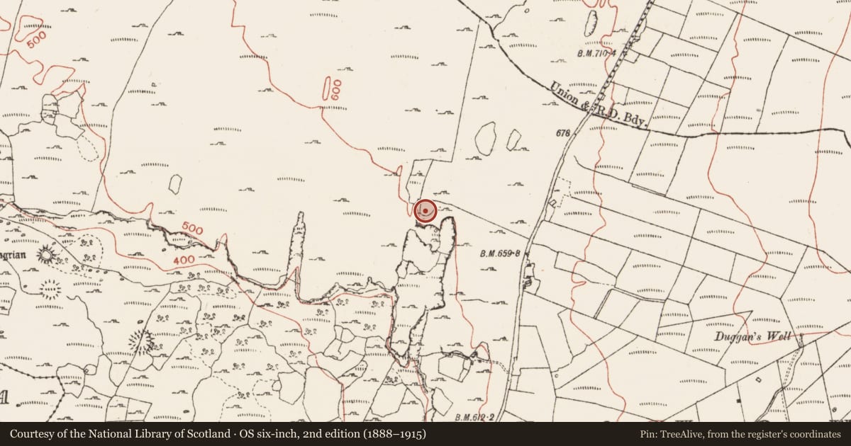 Ordnance Survey six-inch map, 2nd edition (1888–1915) covering the location of Ringfort - cashel, Ballynahown, County Clare, with a pin at the register's coordinates
