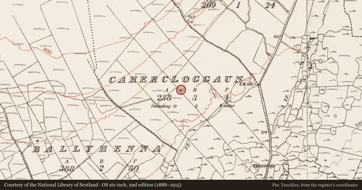 Ordnance Survey six-inch map, 2nd edition (1888–1915) covering the location of Ringfort - rath, Cahercloggaun, County Clare, with a pin at the register's coordinates