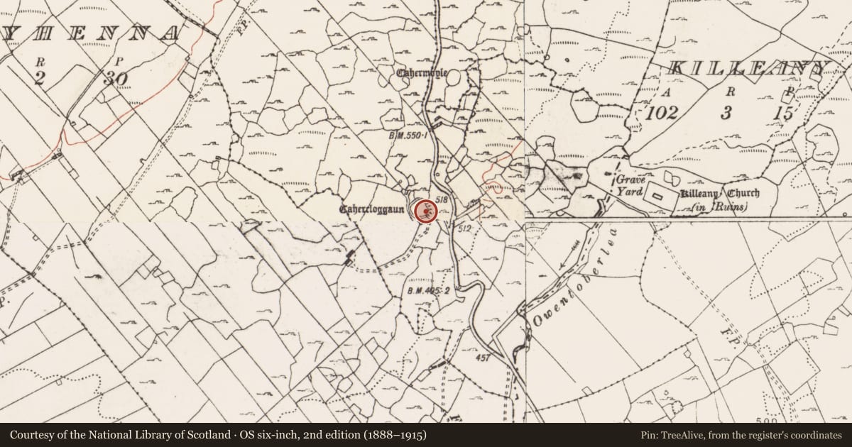 Ordnance Survey six-inch map, 2nd edition (1888–1915) covering the location of Castle - tower house, Cahercloggaun, County Clare, with a pin at the register's coordinates