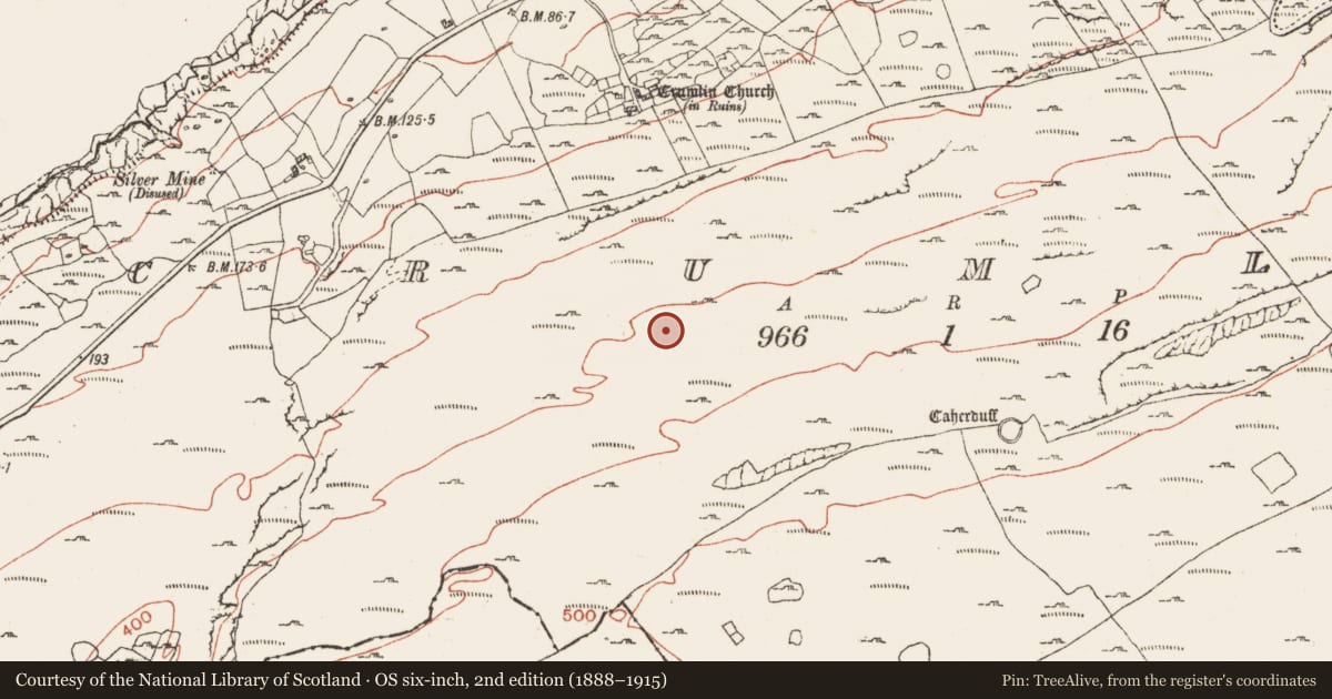 Ordnance Survey six-inch map, 2nd edition (1888–1915) covering the location of Turf stand, Crumlin, County Clare, with a pin at the register's coordinates