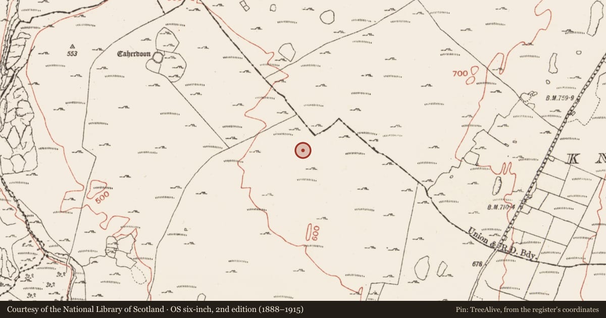 Ordnance Survey six-inch map, 2nd edition (1888–1915) covering the location of Enclosure, Ballynahown, County Clare, with a pin at the register's coordinates
