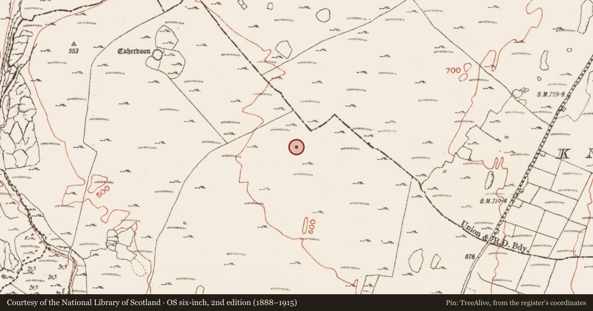Ordnance Survey six-inch map, 2nd edition (1888–1915) covering the location of Field system, Ballynahown, County Clare, with a pin at the register's coordinates