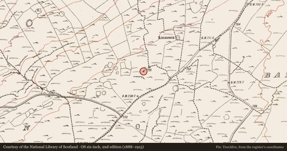 Ordnance Survey six-inch map, 2nd edition (1888–1915) covering the location of Clochan, Derreen West, County Clare, with a pin at the register's coordinates