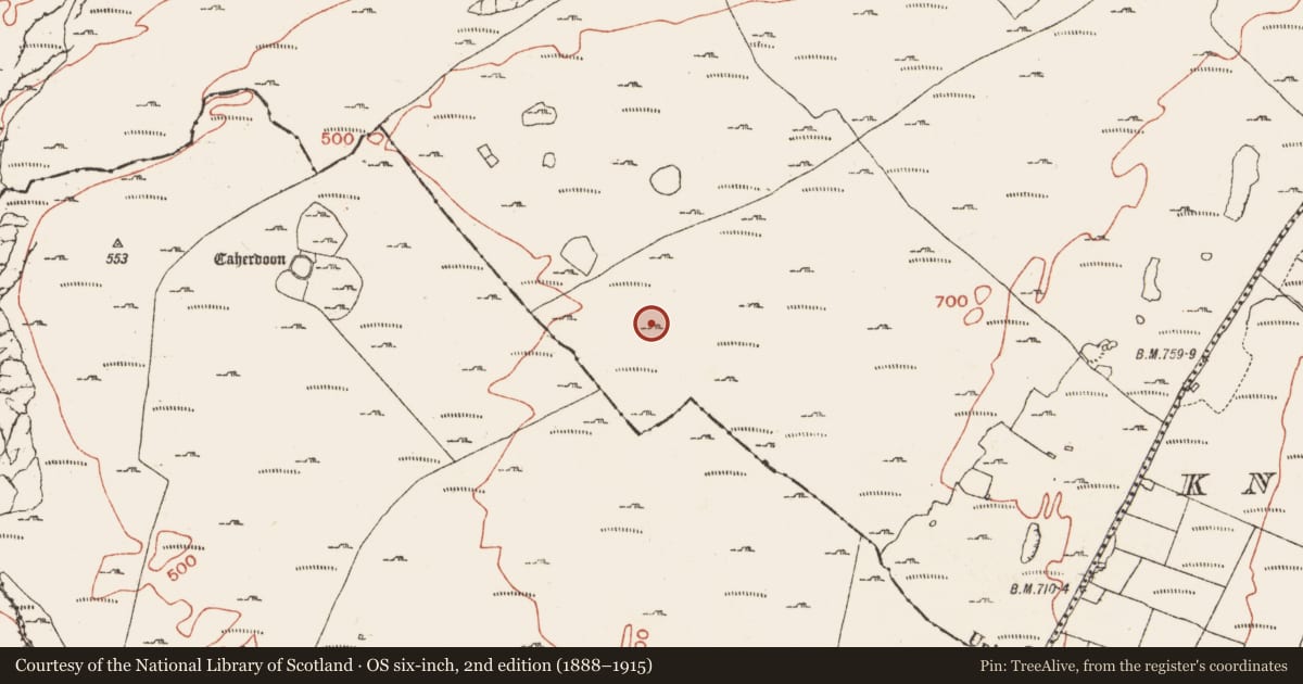 Ordnance Survey six-inch map, 2nd edition (1888–1915) covering the location of Hut site, Crumlin, County Clare, with a pin at the register's coordinates