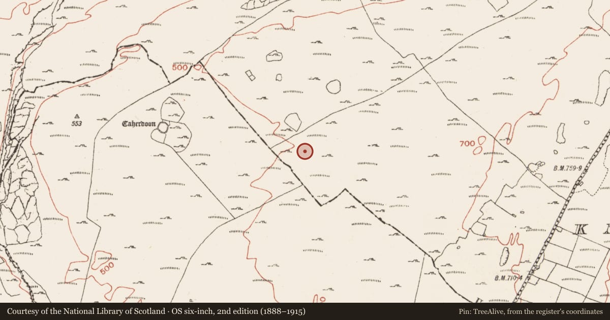 Ordnance Survey six-inch map, 2nd edition (1888–1915) covering the location of Hut site, Crumlin, County Clare, with a pin at the register's coordinates