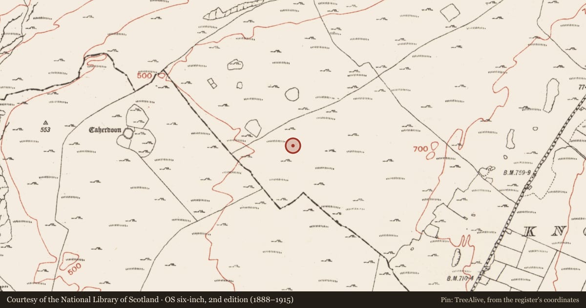 Ordnance Survey six-inch map, 2nd edition (1888–1915) covering the location of Enclosure, Crumlin, County Clare, with a pin at the register's coordinates
