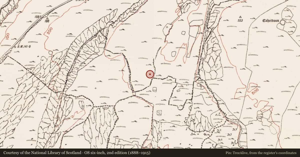 Ordnance Survey six-inch map, 2nd edition (1888–1915) covering the location of Hut site, Crumlin, County Clare, with a pin at the register's coordinates