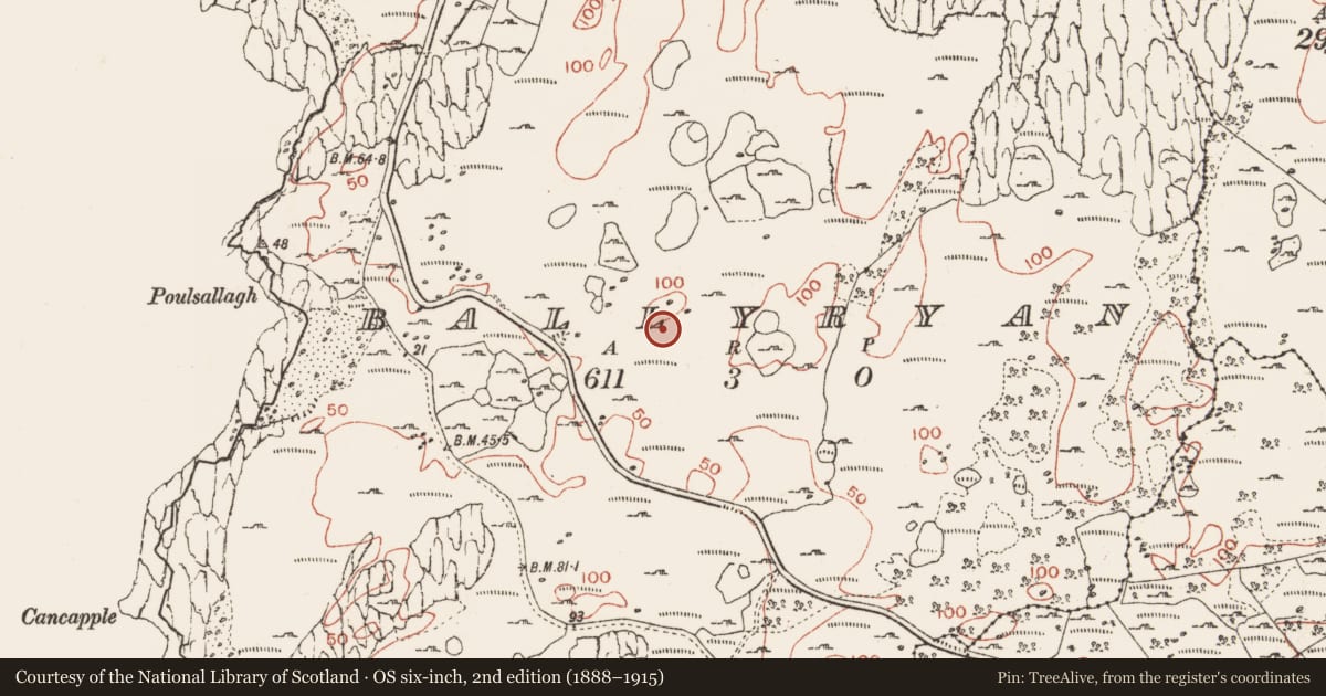 Ordnance Survey six-inch map, 2nd edition (1888–1915) covering the location of Enclosure, Ballyryan, County Clare, with a pin at the register's coordinates