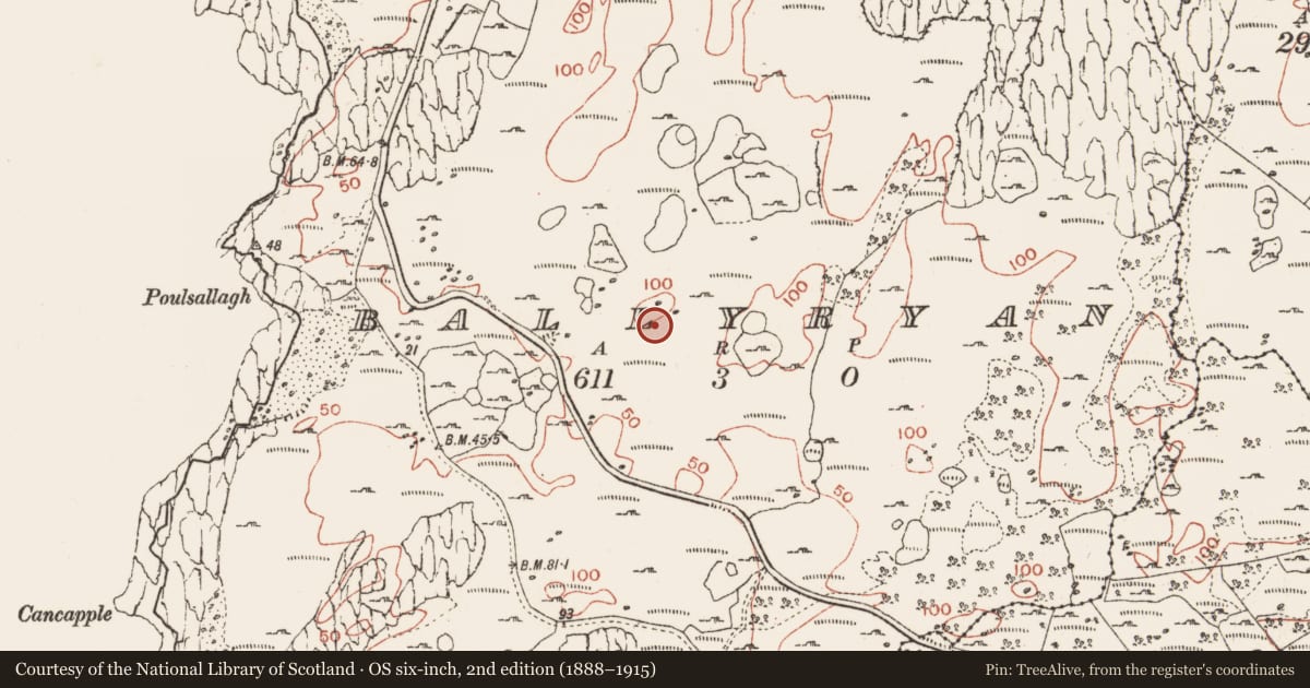 Ordnance Survey six-inch map, 2nd edition (1888–1915) covering the location of Hut site, Ballyryan, County Clare, with a pin at the register's coordinates