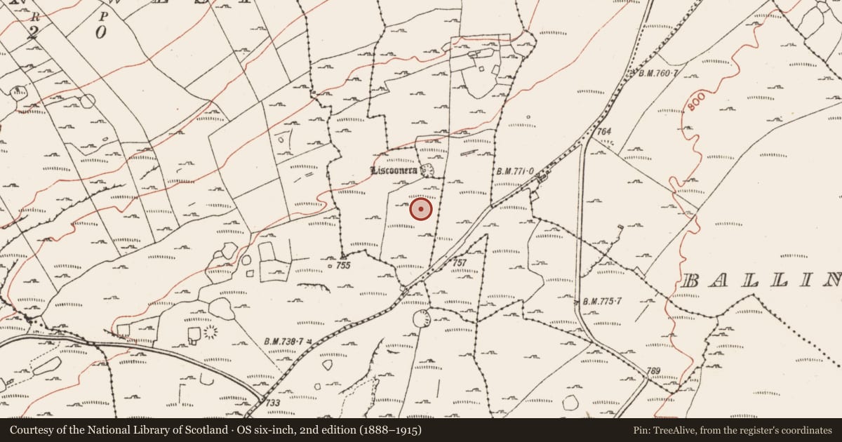 Ordnance Survey six-inch map, 2nd edition (1888–1915) covering the location of Cairn - unclassified, Derreen East, County Clare, with a pin at the register's coordinates