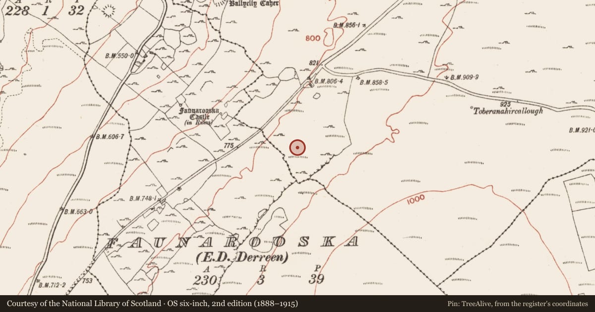 Ordnance Survey six-inch map, 2nd edition (1888–1915) covering the location of Cave, Ballyelly, County Clare, with a pin at the register's coordinates