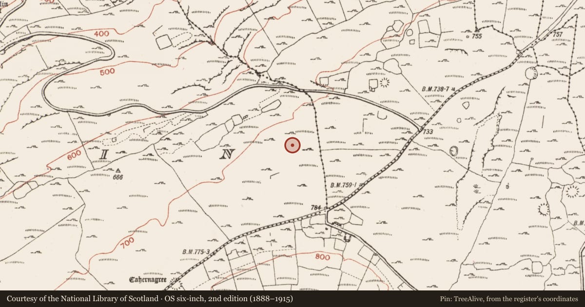 Ordnance Survey six-inch map, 2nd edition (1888–1915) covering the location of Hut site, Crumlin, County Clare, with a pin at the register's coordinates