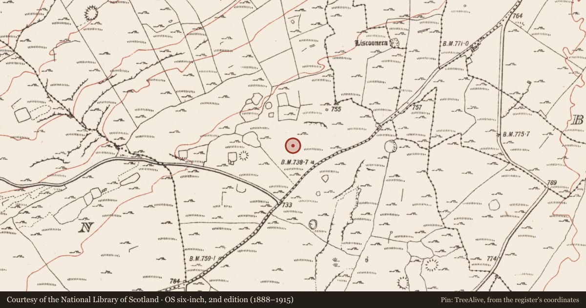 Ordnance Survey six-inch map, 2nd edition (1888–1915) covering the location of Field system, County Clare, with a pin at the register's coordinates