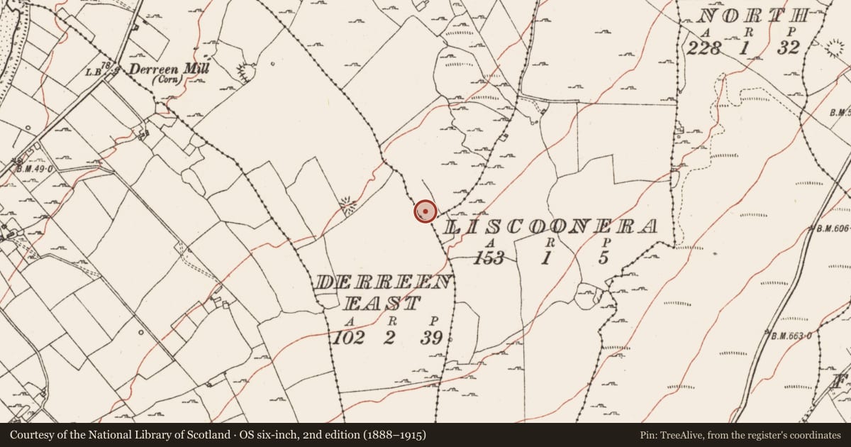 Ordnance Survey six-inch map, 2nd edition (1888–1915) covering the location of Enclosure, Derreen East, County Clare, with a pin at the register's coordinates