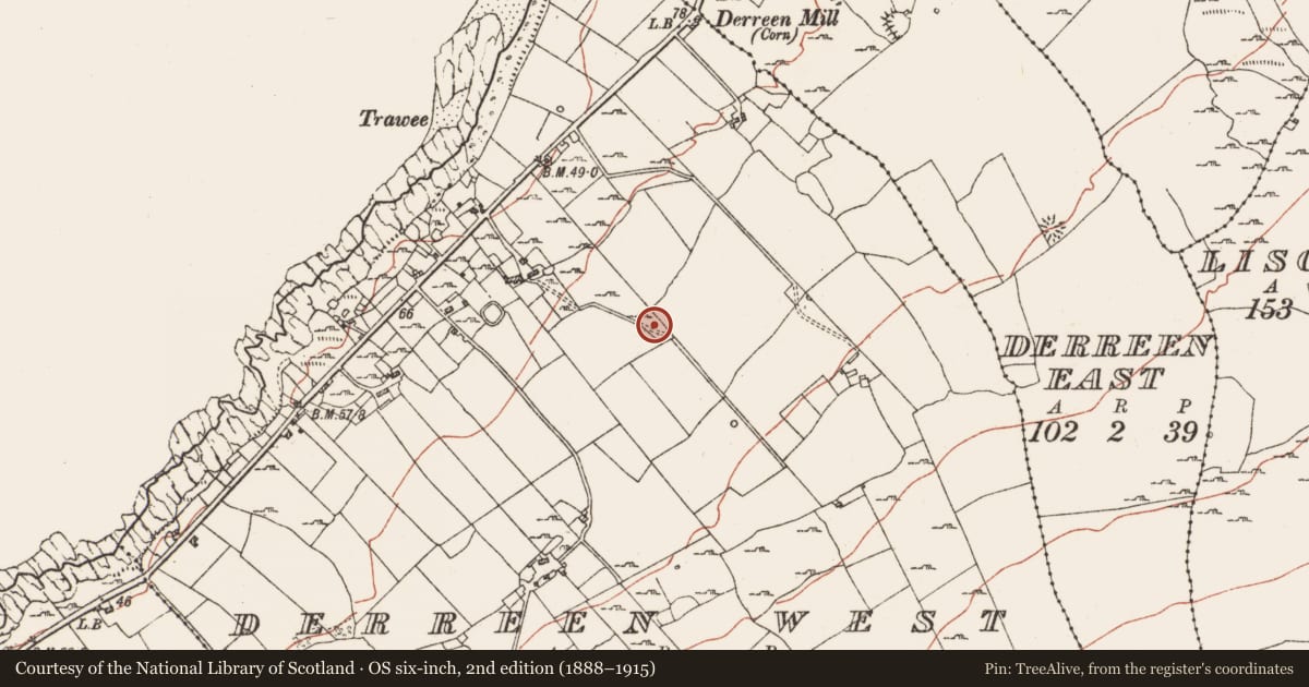Ordnance Survey six-inch map, 2nd edition (1888–1915) covering the location of Enclosure, Derreen West, County Clare, with a pin at the register's coordinates