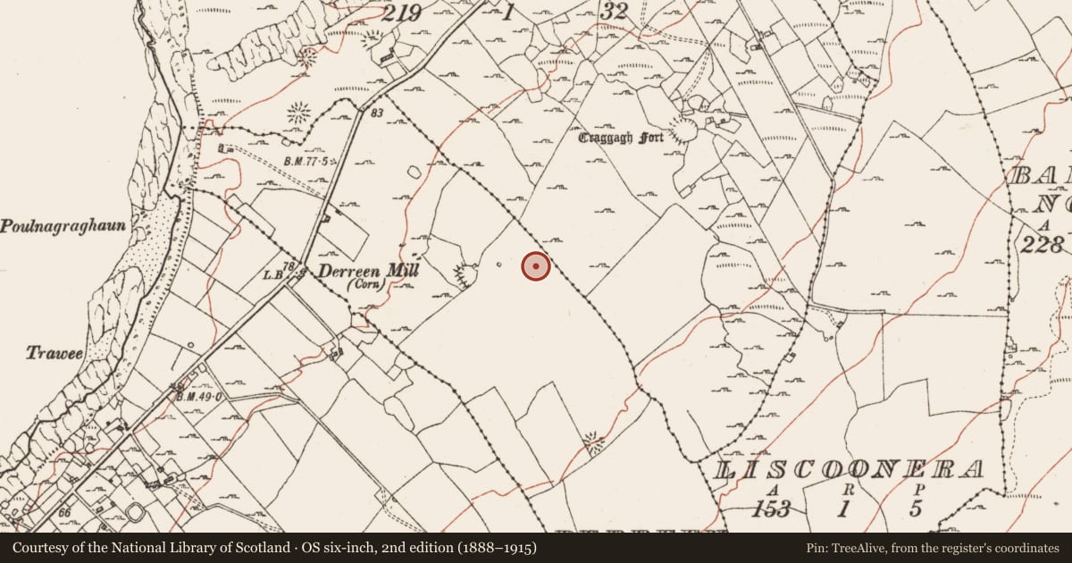 Ordnance Survey six-inch map, 2nd edition (1888–1915) covering the location of Field system, County Clare, with a pin at the register's coordinates