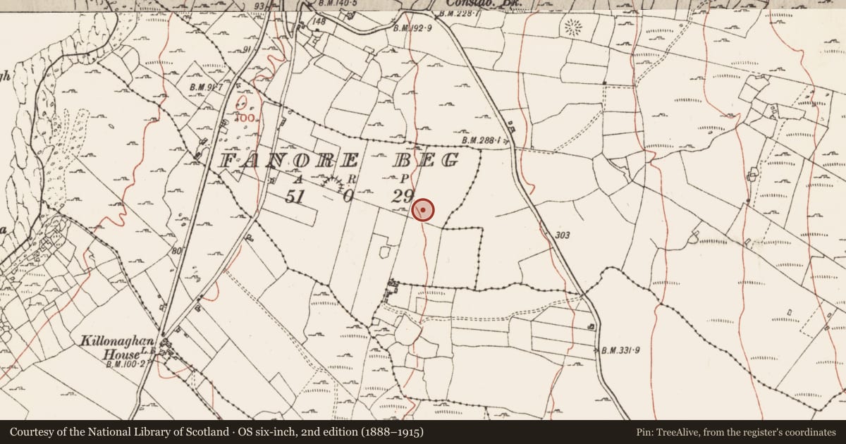 Ordnance Survey six-inch map, 2nd edition (1888–1915) covering the location of Ringfort - rath, Fanore Beg, County Clare, with a pin at the register's coordinates