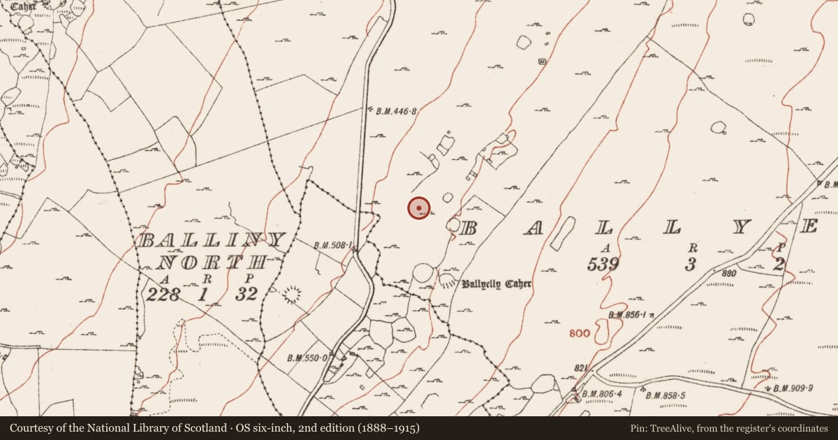 Ordnance Survey six-inch map, 2nd edition (1888–1915) covering the location of Enclosure, Ballyelly, County Clare, with a pin at the register's coordinates