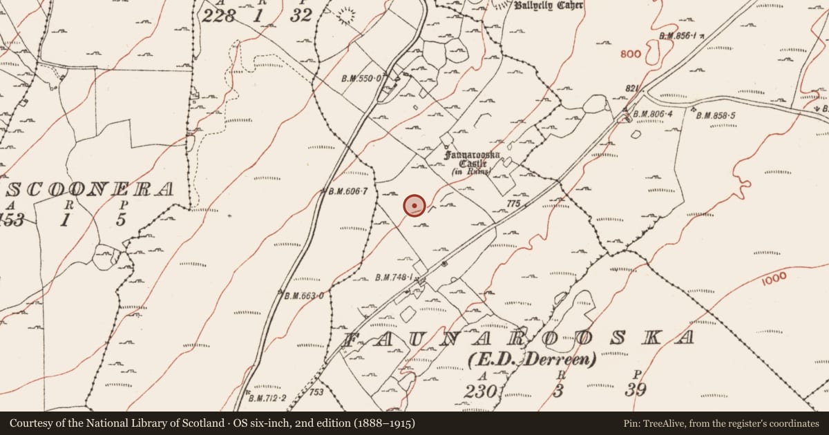 Ordnance Survey six-inch map, 2nd edition (1888–1915) covering the location of Enclosure, Faunarooska, County Clare, with a pin at the register's coordinates