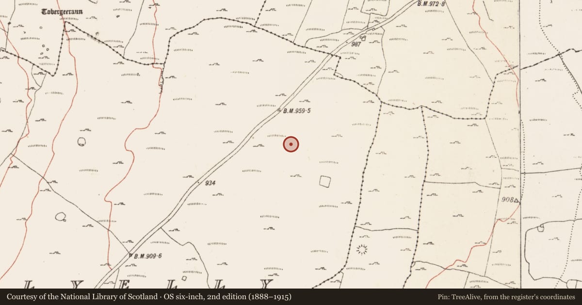 Ordnance Survey six-inch map, 2nd edition (1888–1915) covering the location of Hut site, Ballyelly, County Clare, with a pin at the register's coordinates