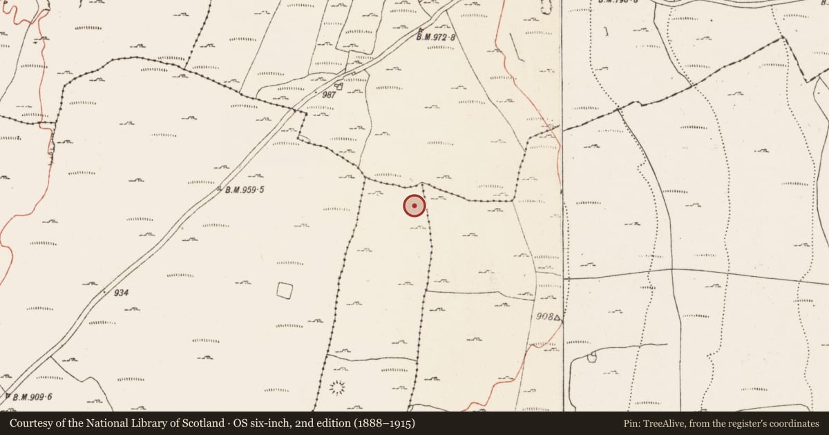 Ordnance Survey six-inch map, 2nd edition (1888–1915) covering the location of Hut site, Coolmeen, County Clare, with a pin at the register's coordinates