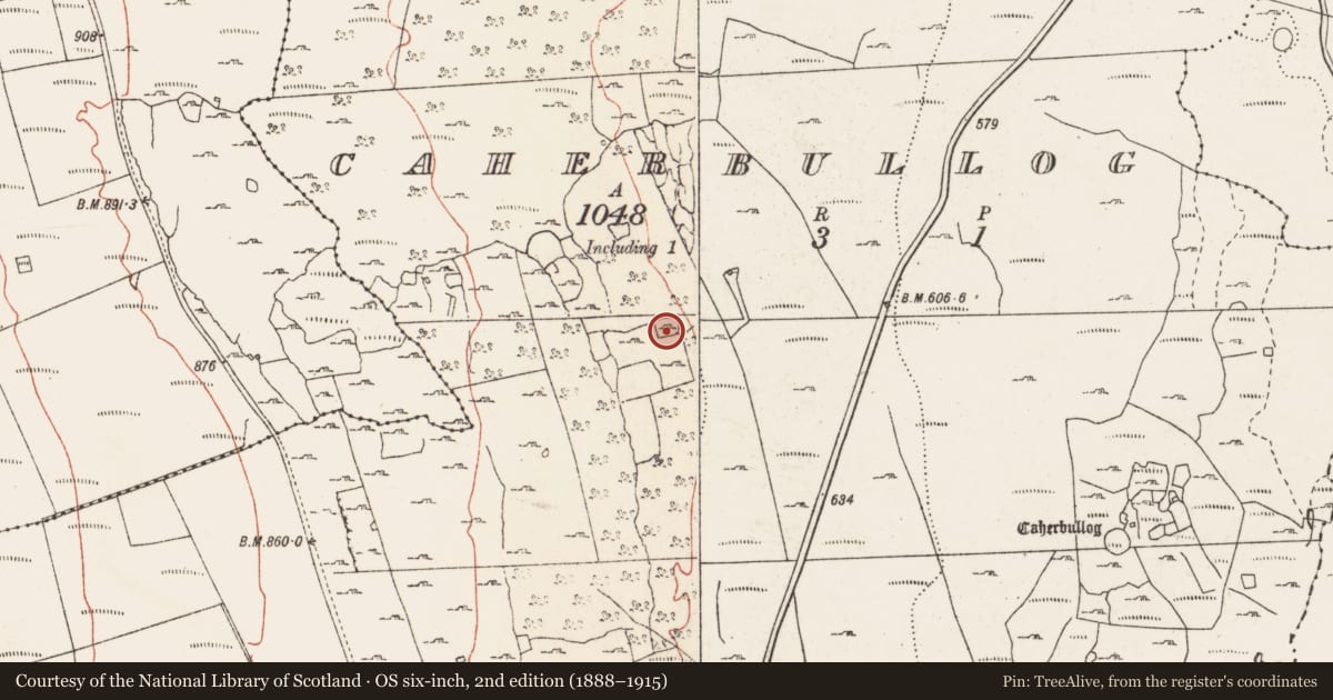 Ordnance Survey six-inch map, 2nd edition (1888–1915) covering the location of Ringfort - cashel, Caherbullog, County Clare, with a pin at the register's coordinates