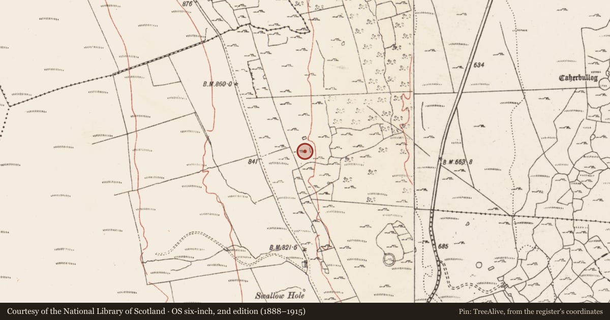 Ordnance Survey six-inch map, 2nd edition (1888–1915) covering the location of Ringfort - cashel, Caherbullog, County Clare, with a pin at the register's coordinates