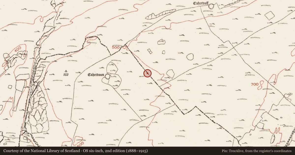 Ordnance Survey six-inch map, 2nd edition (1888–1915) covering the location of Enclosure, Ballynahown, Crumlin, County Clare, with a pin at the register's coordinates