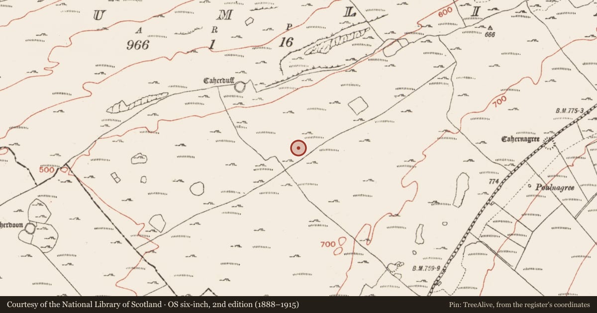 Ordnance Survey six-inch map, 2nd edition (1888–1915) covering the location of Enclosure, Crumlin, County Clare, with a pin at the register's coordinates