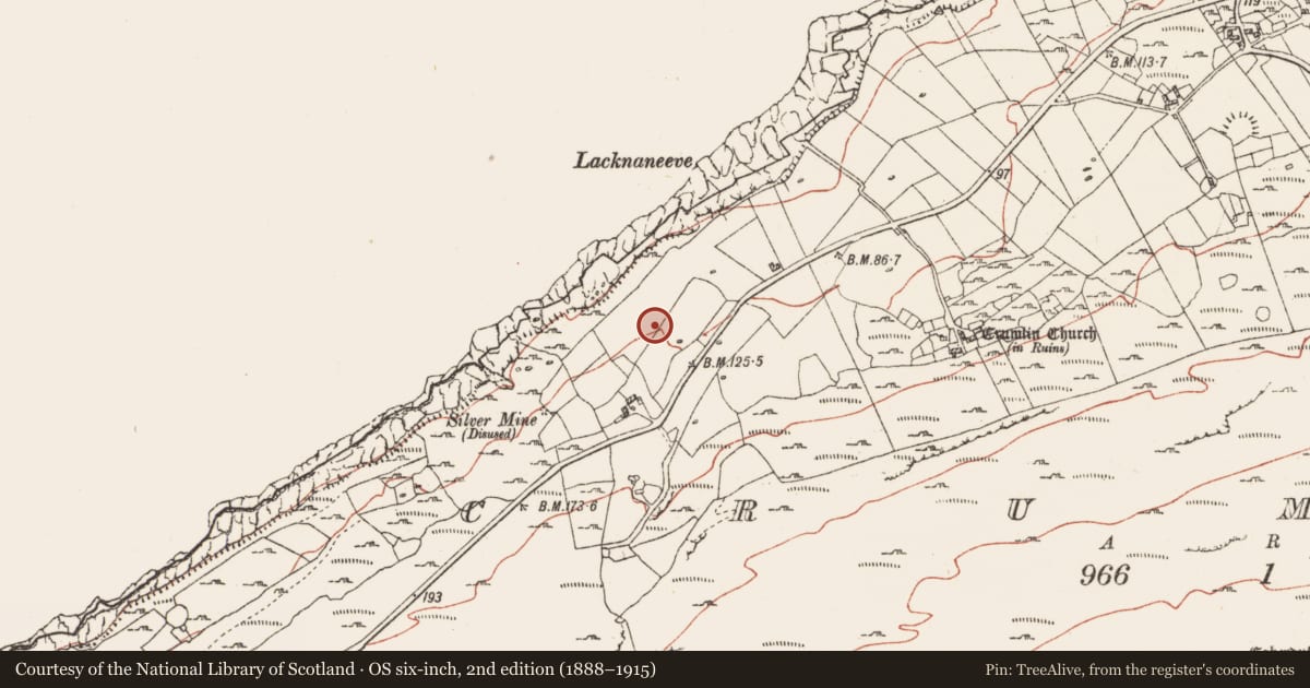 Ordnance Survey six-inch map, 2nd edition (1888–1915) covering the location of Hut site, Crumlin, County Clare, with a pin at the register's coordinates