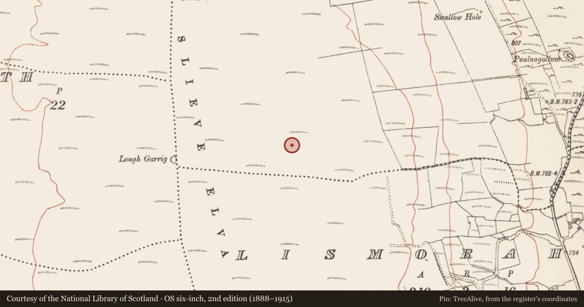 Ordnance Survey six-inch map, 2nd edition (1888–1915) covering the location of Mound, Caherbullog, County Clare, with a pin at the register's coordinates