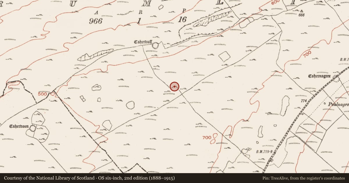 Ordnance Survey six-inch map, 2nd edition (1888–1915) covering the location of Enclosure, Crumlin, County Clare, with a pin at the register's coordinates