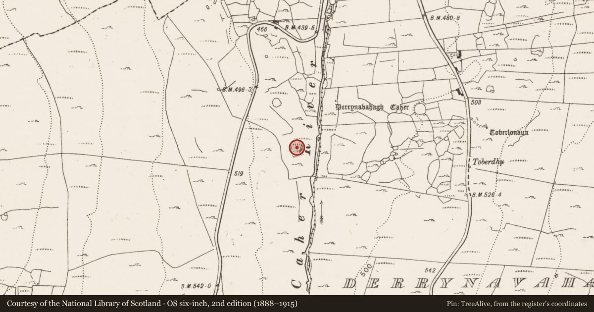 Ordnance Survey six-inch map, 2nd edition (1888–1915) covering the location of Enclosure, Caherbullog, County Clare, with a pin at the register's coordinates