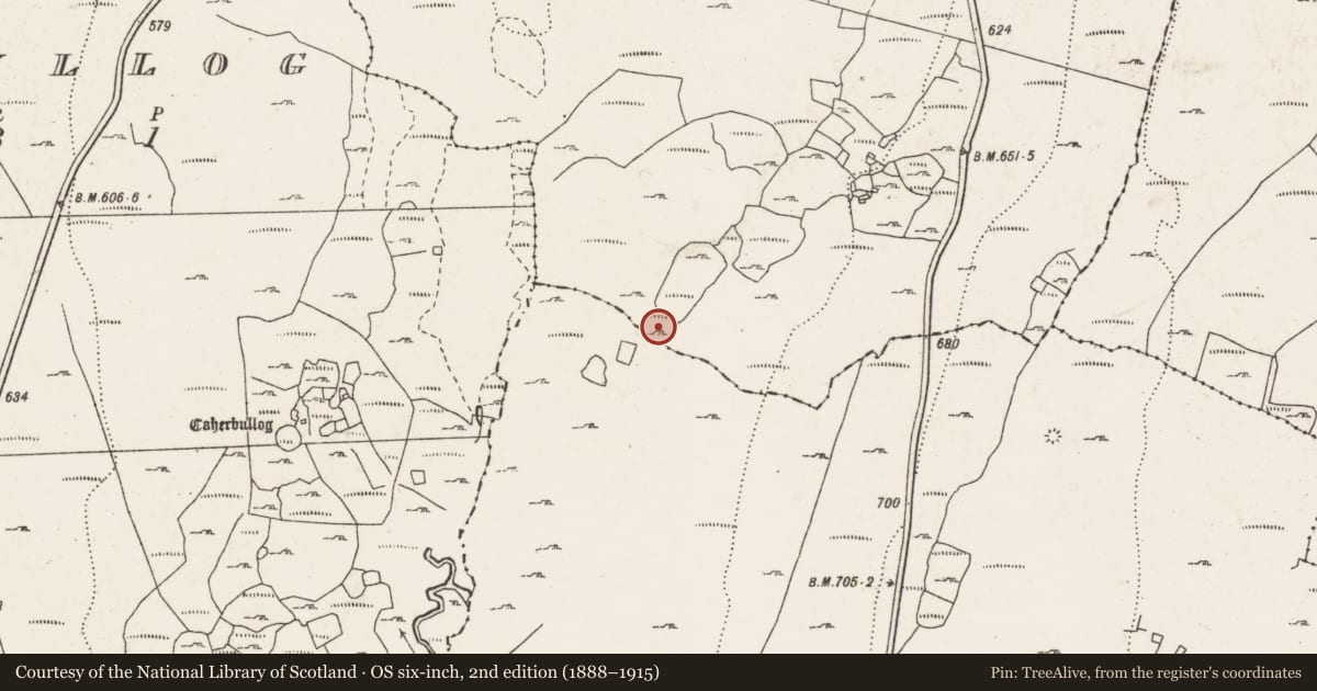 Ordnance Survey six-inch map, 2nd edition (1888–1915) covering the location of Enclosure, Derrynavahagh, Lislarheenmore, County Clare, with a pin at the register's coordinates