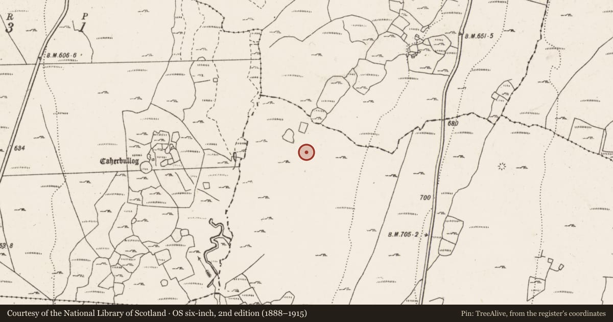 Ordnance Survey six-inch map, 2nd edition (1888–1915) covering the location of Enclosure, Lislarheenmore, County Clare, with a pin at the register's coordinates